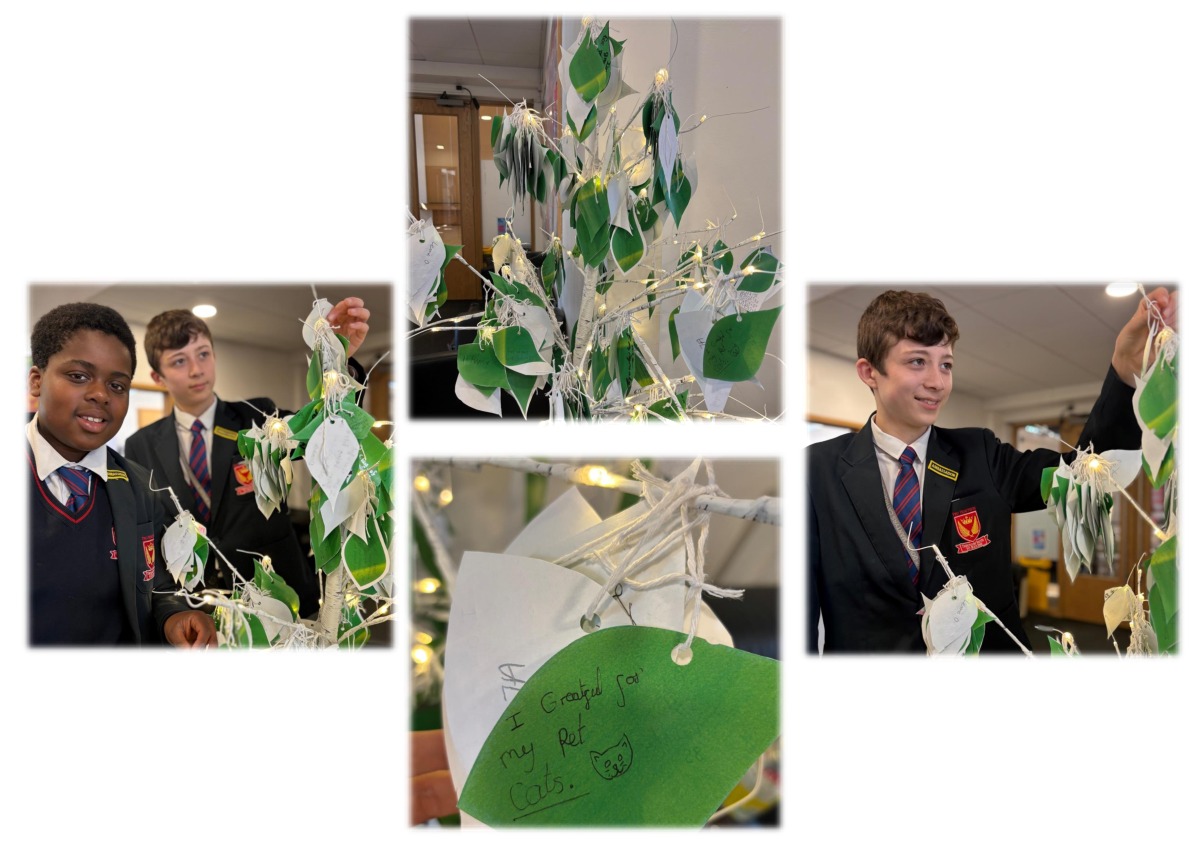 Gratitude tree gallery