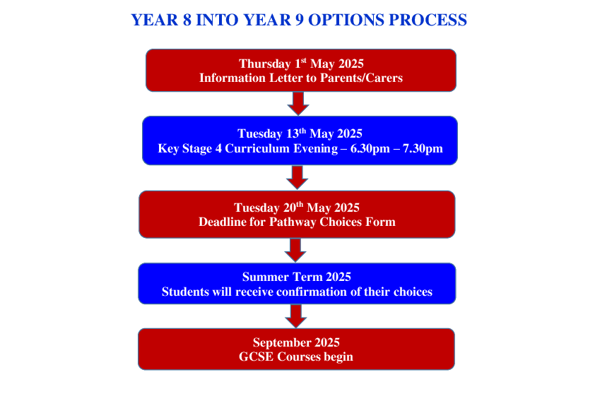 Year 8 into year 9 option process 2025